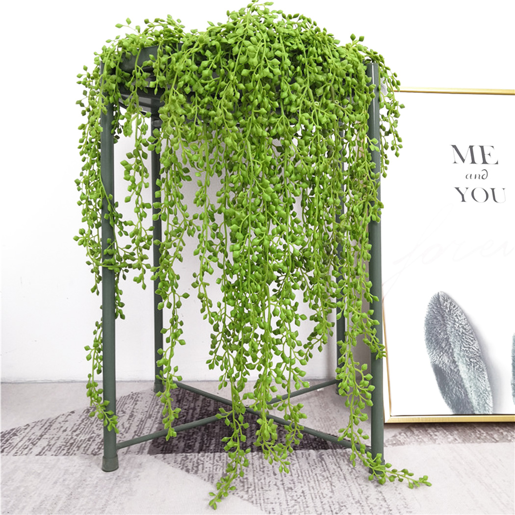 Ficus Lyrata Tree - Ao ar livre, Jardim, Decoração do