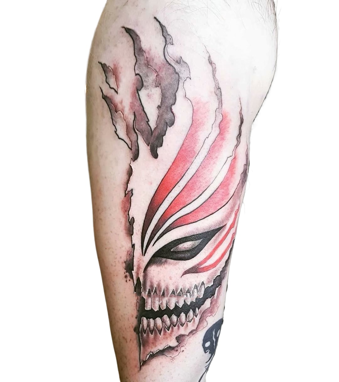 Anime lixívia tatuagens tempor - Aglaonema Red avaliação e preço