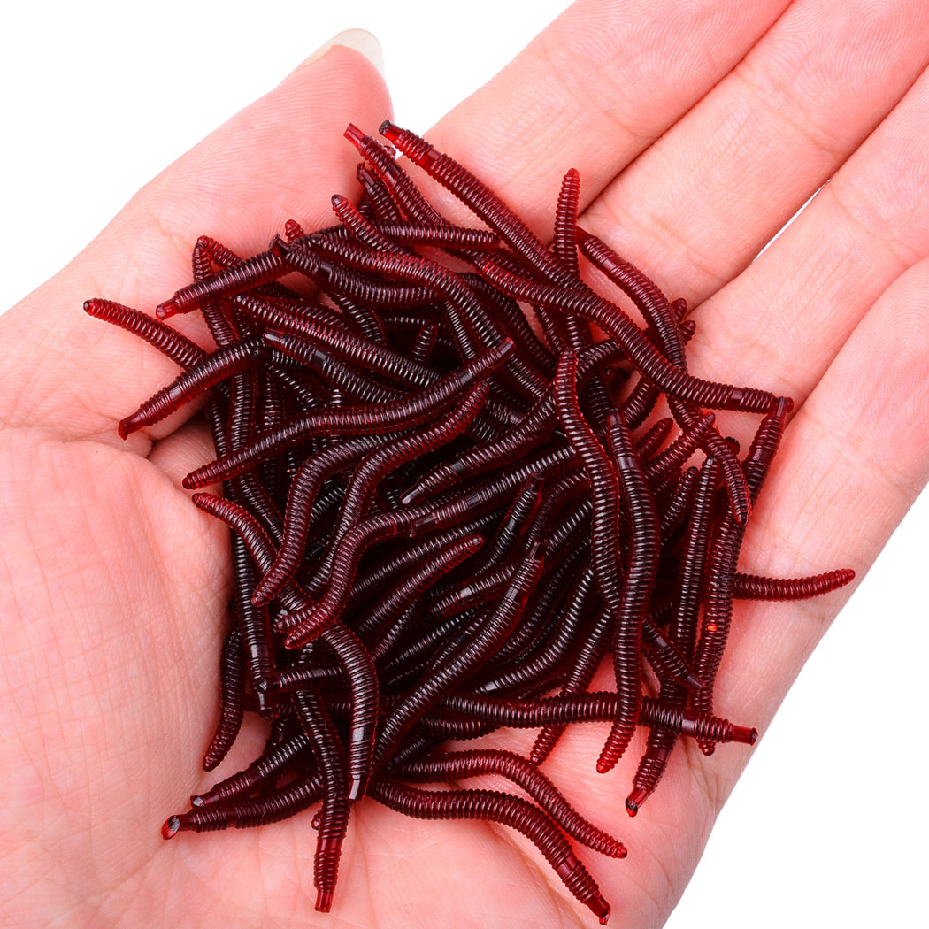 50 pçs lifelike worm vermelho  - Aglaonema Red avaliação e preço