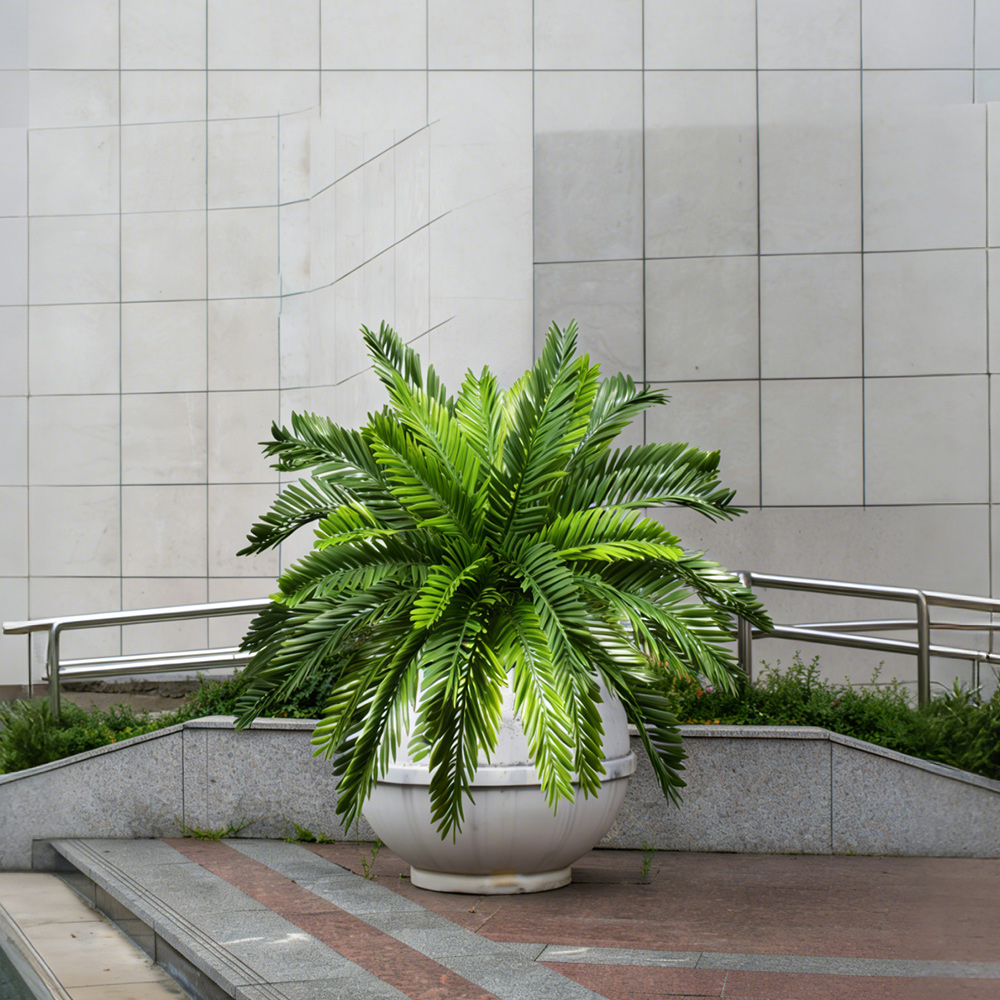 Plantas de palmeira artificiai - Dracaena Marginata avaliação e preço
