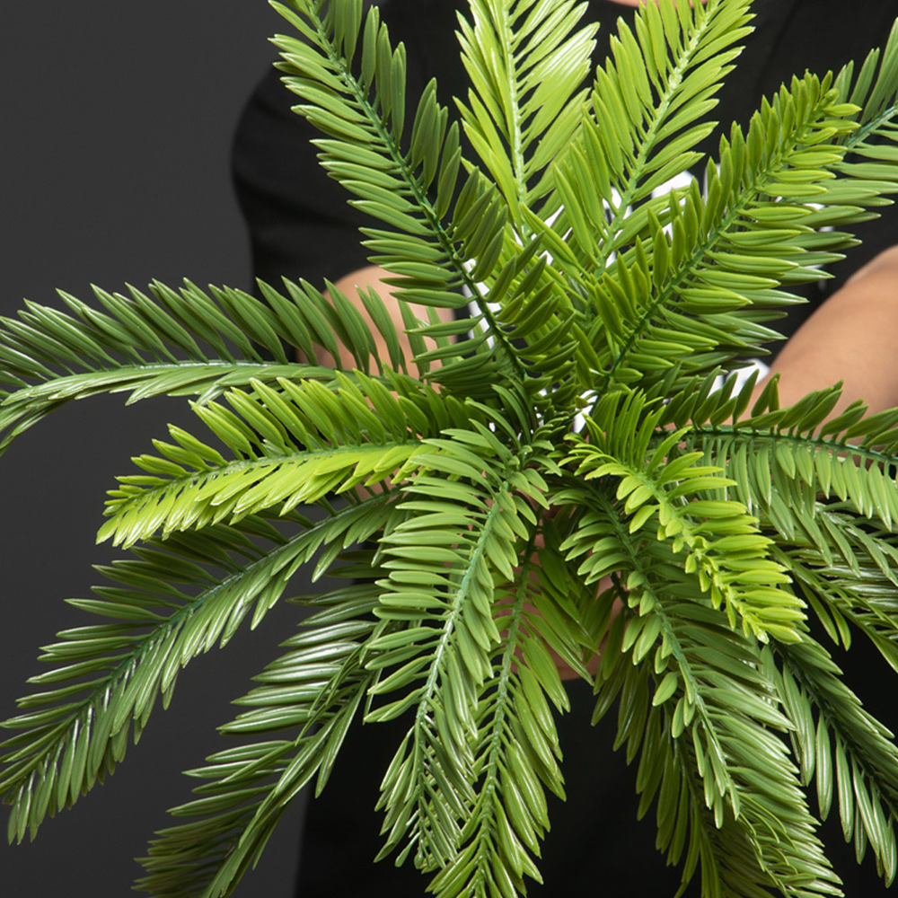 Plantas de palmeira artificiai - Dracaena Marginata avaliação e preço