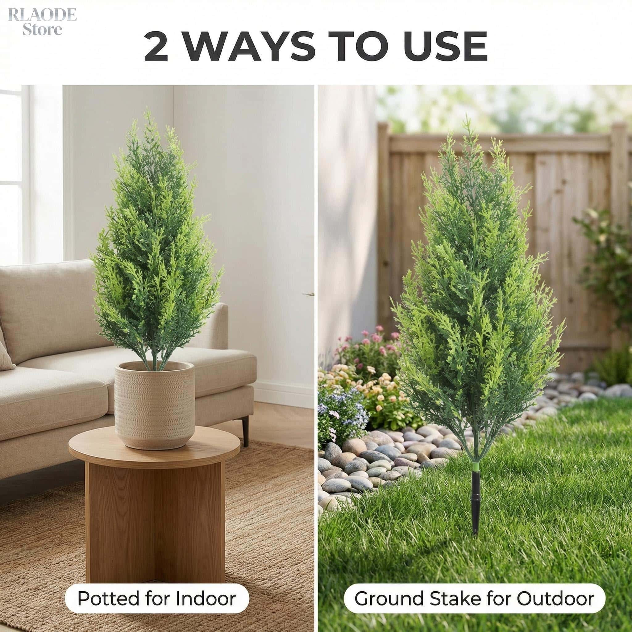2 Peças de Cipreste e Samambai - Dracaena Marginata avaliação e preço