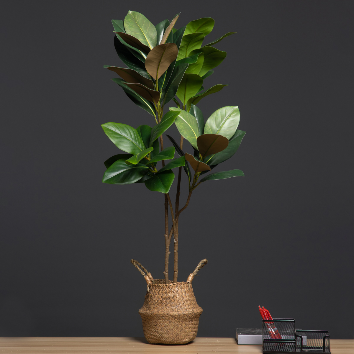 105cm 2 garfos grandes plantas - Dracaena Marginata avaliação e preço